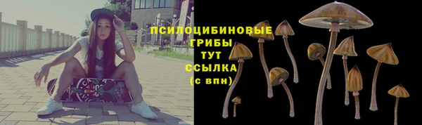 тгк Арсеньев