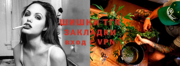тгк Арсеньев