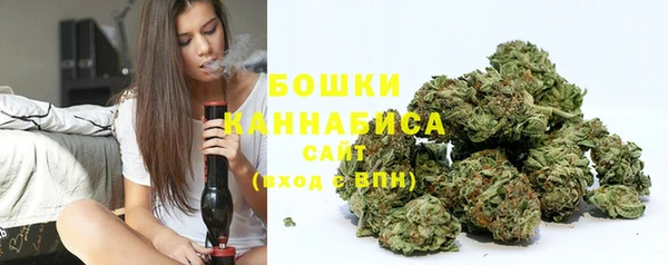 тгк Арсеньев